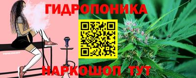 гашик Балахна