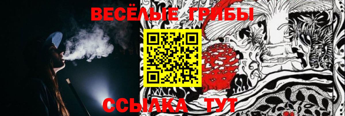 Псилоцибиновые грибы прущие грибы Гусев