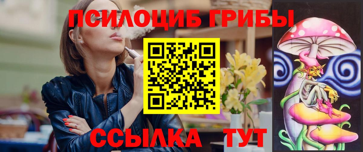 Гусев  Псилоцибиновые грибы Psilocybine cubensis  Вход с VPN 